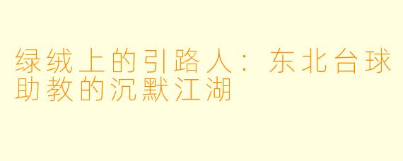 绿绒上的引路人：东北台球助教的沉默江湖