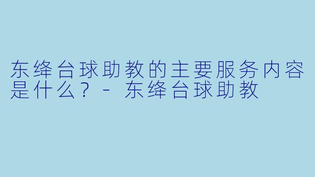 东绛台球助教的主要服务内容是什么？-东绛台球助教