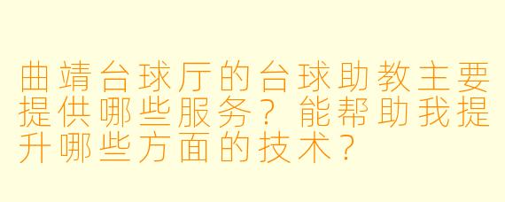 曲靖台球厅的台球助教主要提供哪些服务？能帮助我提升哪些方面的技术？