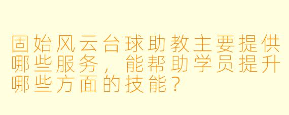 固始风云台球助教主要提供哪些服务，能帮助学员提升哪些方面的技能？