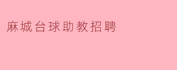 麻城台球助教招聘