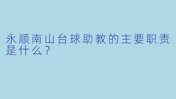 永顺南山台球助教的主要职责是什么？