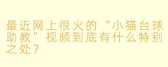 最近网上很火的“小猫台球助教”视频到底有什么特别之处？